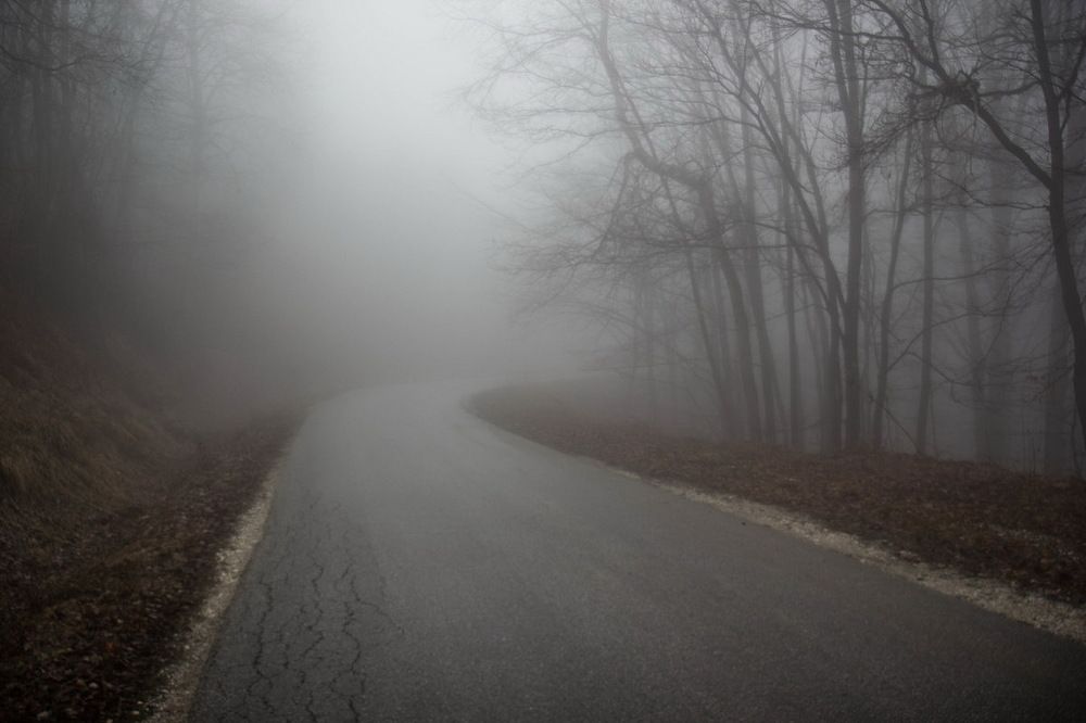 Photograph by Елена Миронова