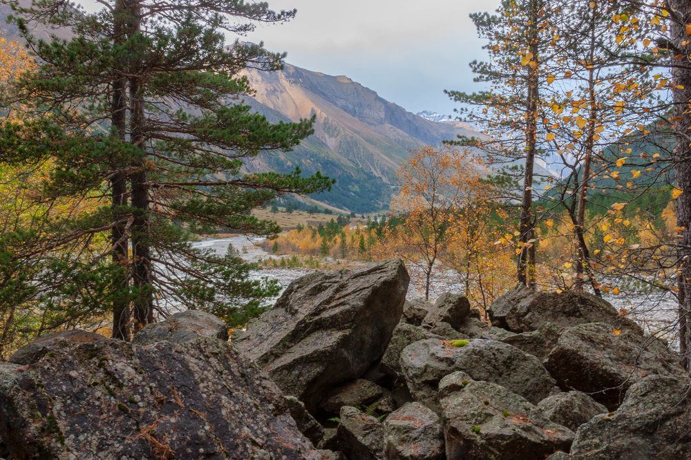 Photograph by Александра Ларинцева