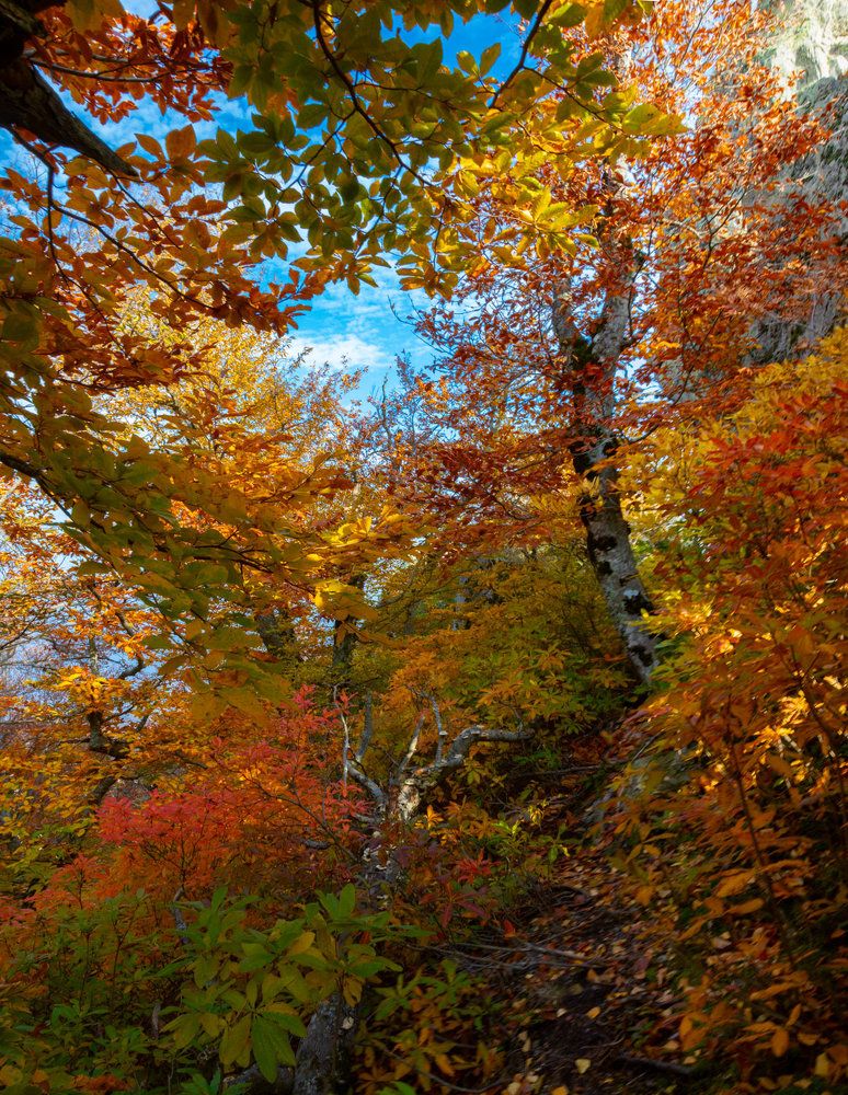 Photograph by Александра Ларинцева