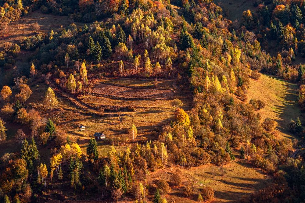 Photograph by Крицак Ольга