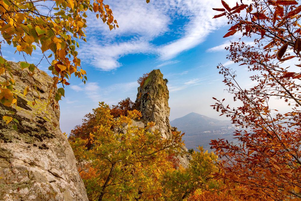 Photograph by Александра Ларинцева