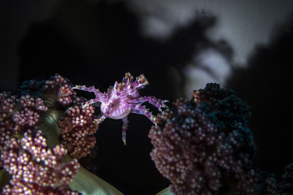 Photograph by Дериглазова Марина Владимировна