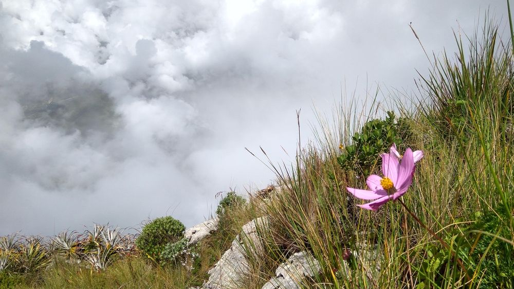 Photo #6727597