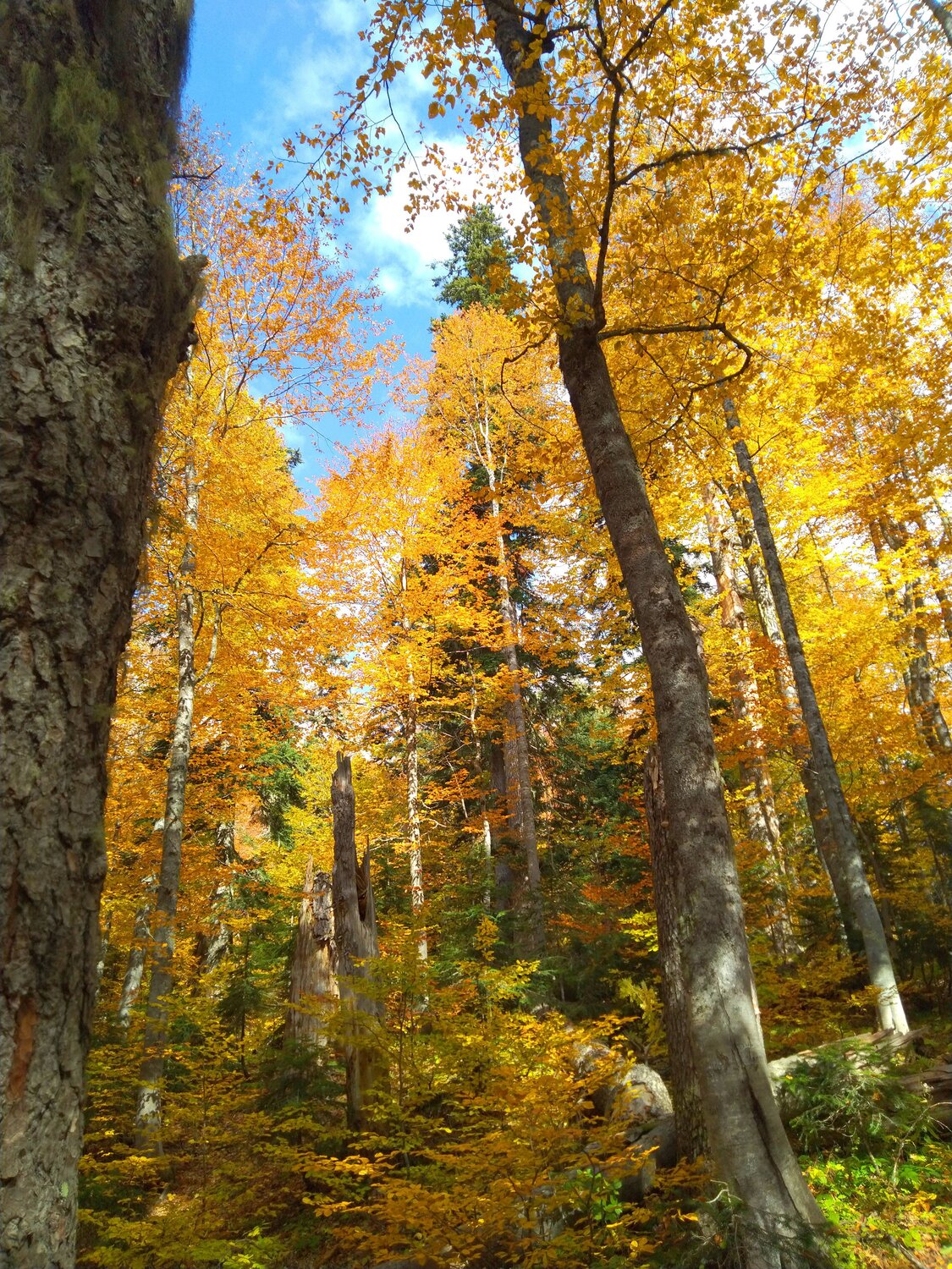 Photo #6727599
