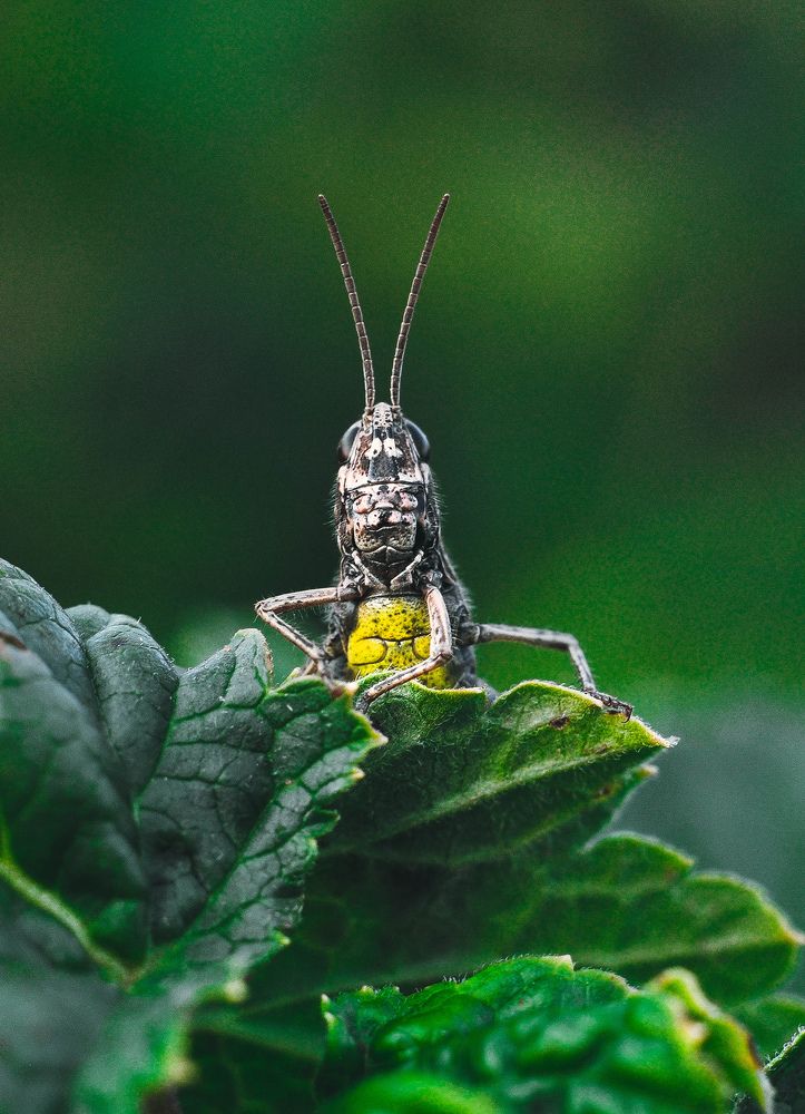 Photograph by Олеся zme