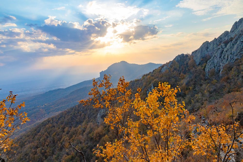 Photograph by Александра Ларинцева