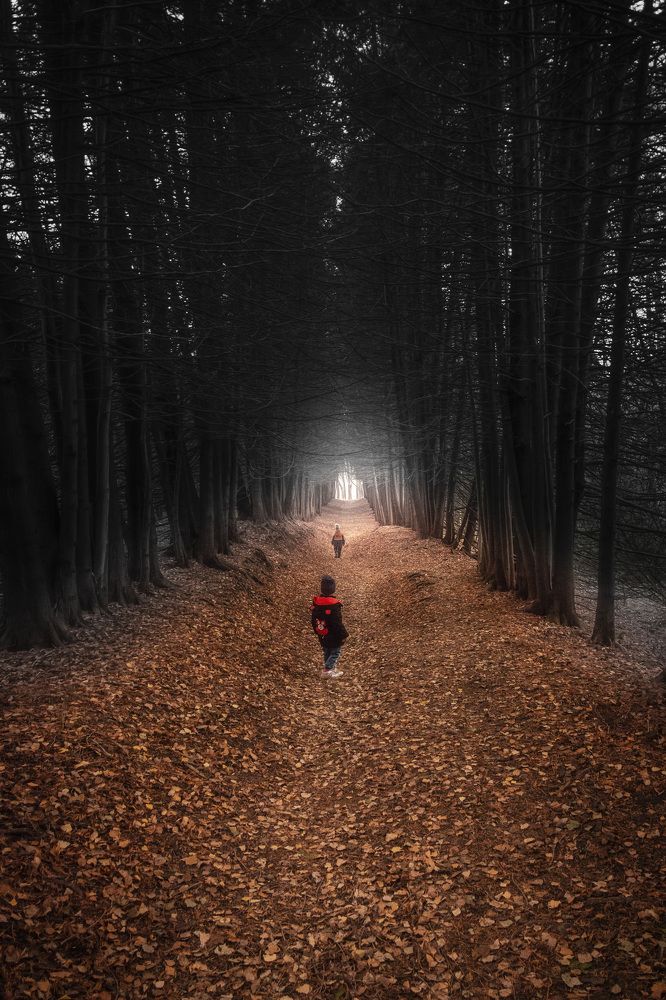 Photograph by Фомин Алексей