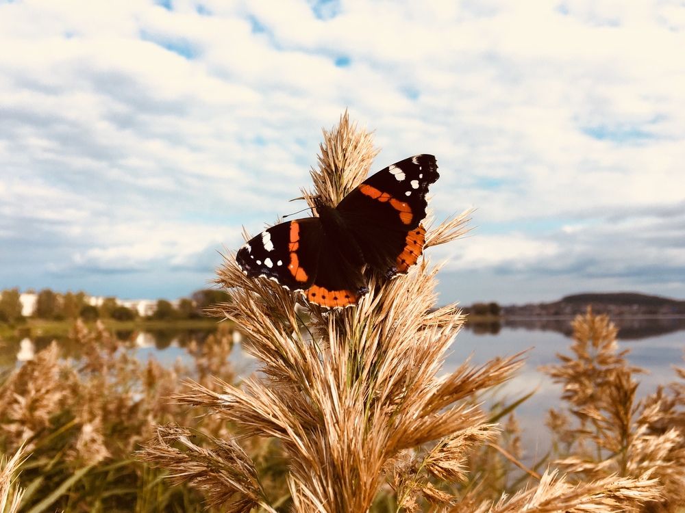 Photograph by Denis Chigintsev