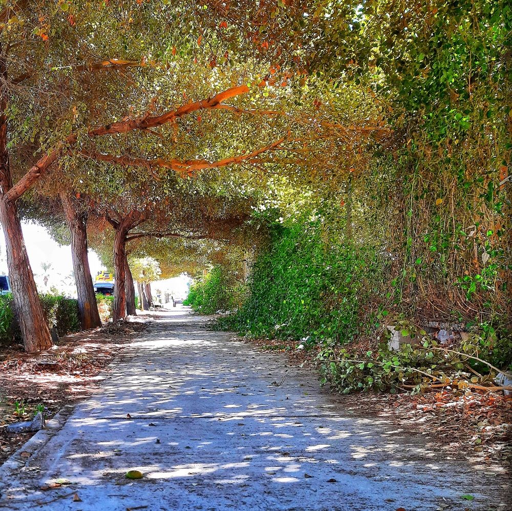 Photograph by Aref rafiepour