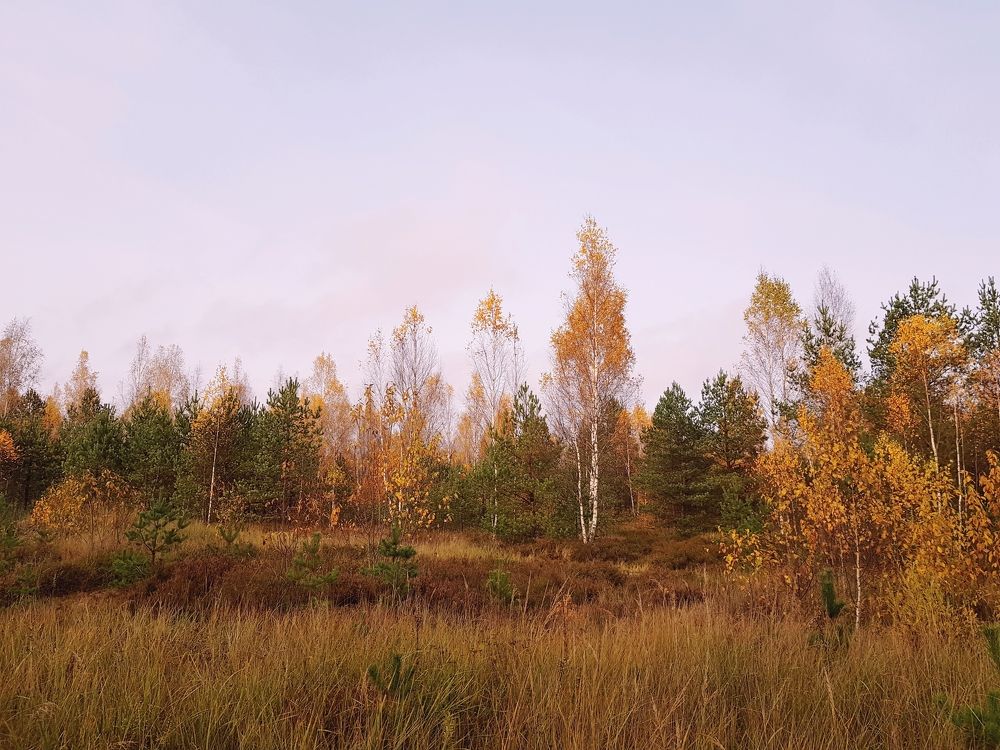 Photograph by Mans Pasts