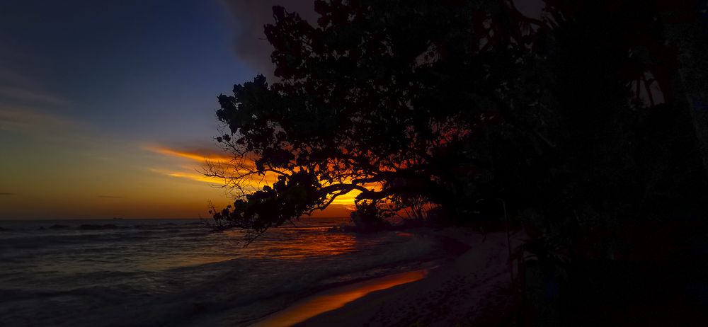 Photograph by pouyan safavi