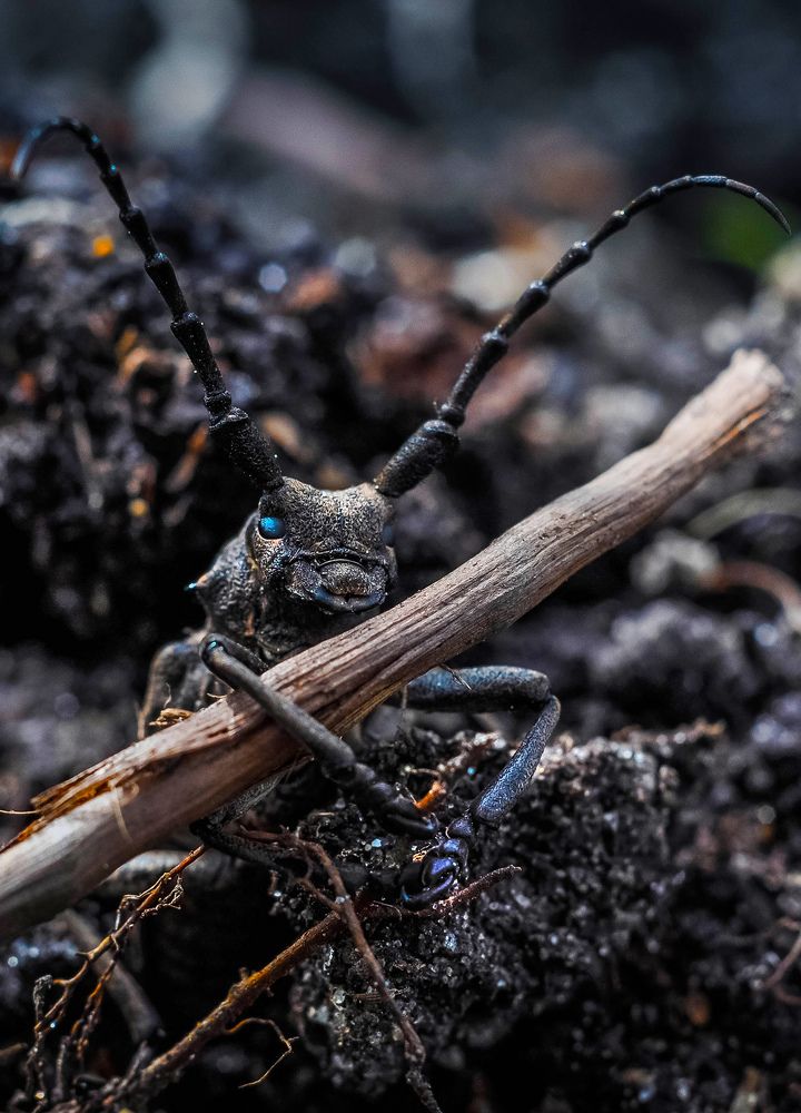 Photograph by Олеся zme