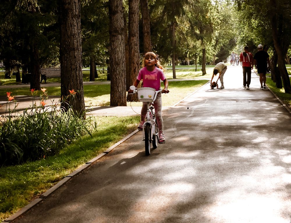 По тенистой аллее