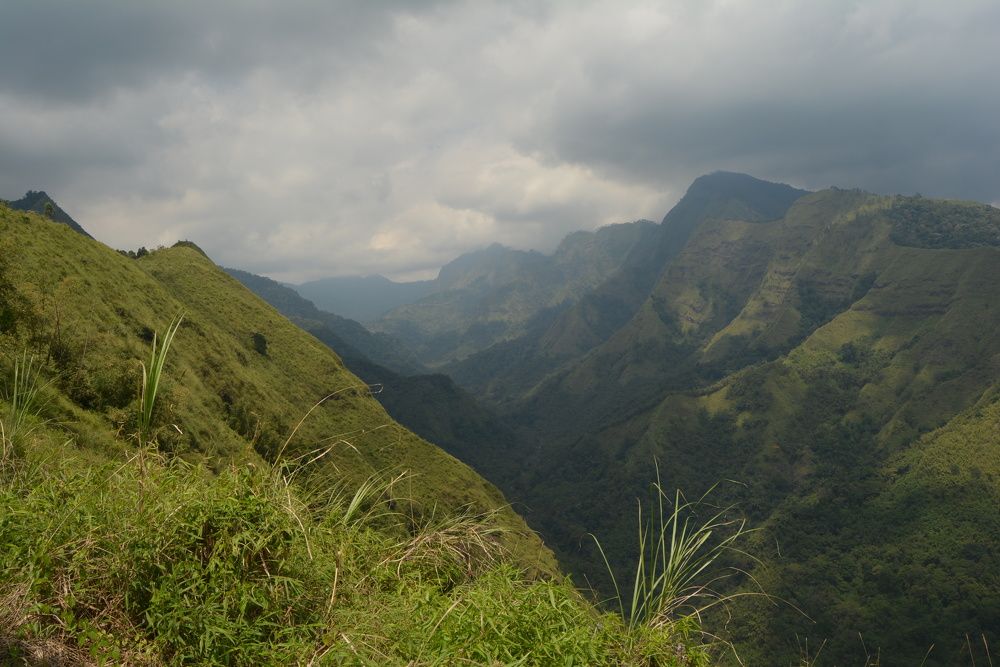 Photograph by reno reno