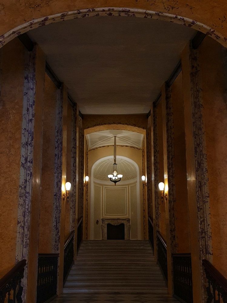 Photograph by Дьяченко Нина