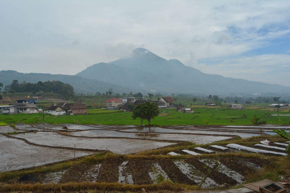 Photograph by reno reno