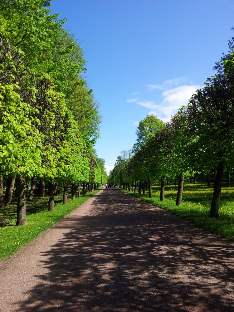 Photograph by Эвелина Бикмурзина