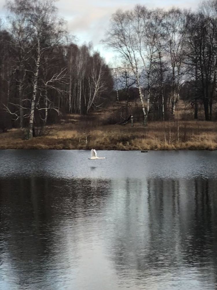 Photograph by Олег Китаев