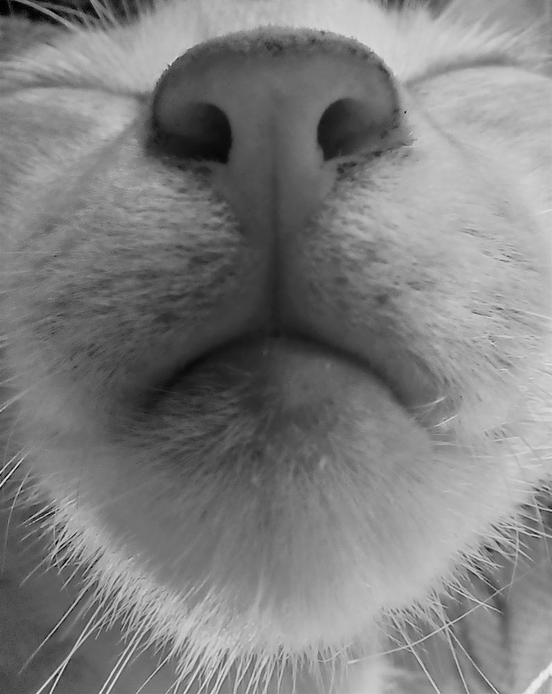 Photo #6727858