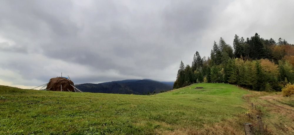 Photograph by Ирина Степанова