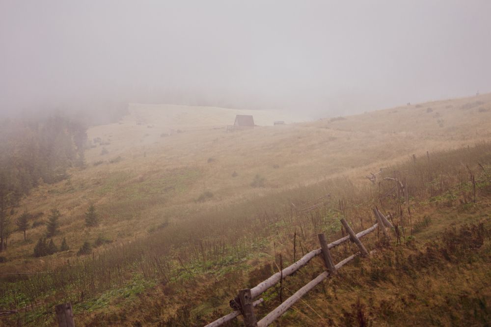 Photograph by Ирина Степанова