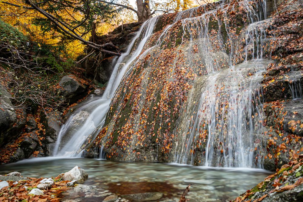Платье осени.