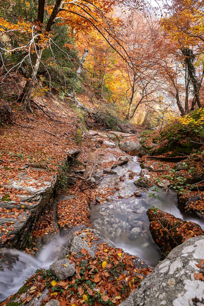 Photograph by Evgeny Ruban