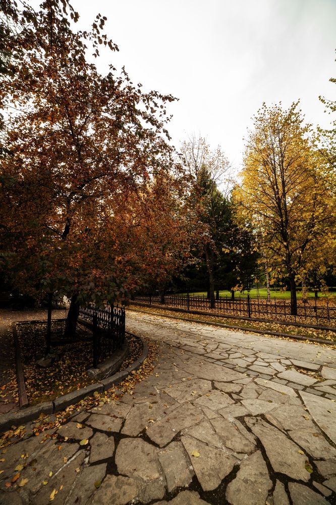 Photograph by Олег Леонтьев