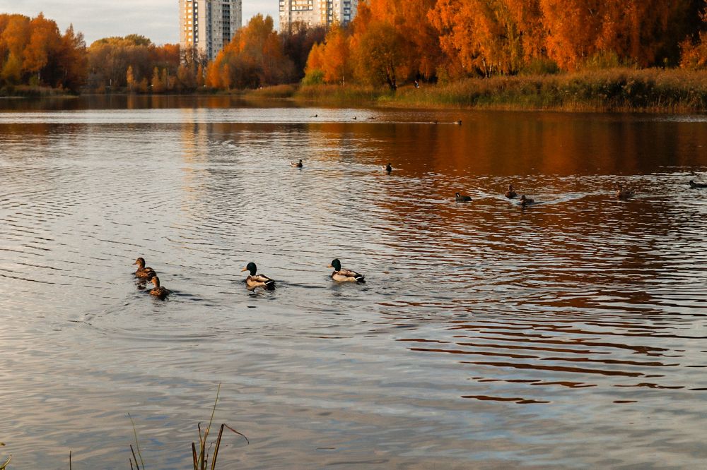 Photograph by Марина