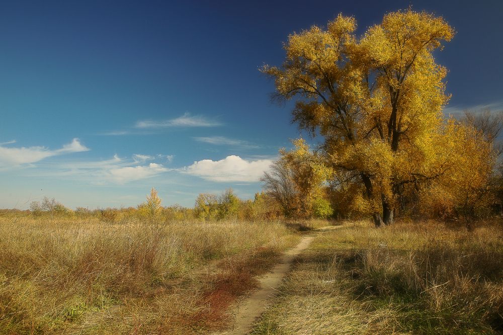 Photograph by Сергей Гринько