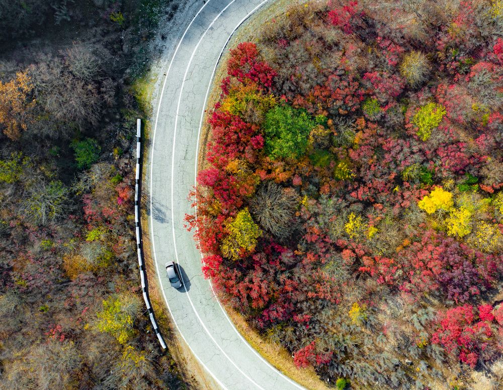 Photograph by Alexey Nikitin