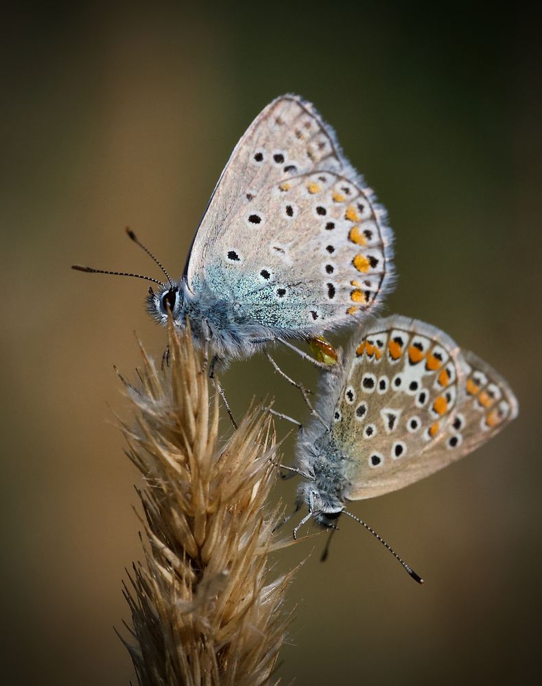Photograph by Igor Ryzhov
