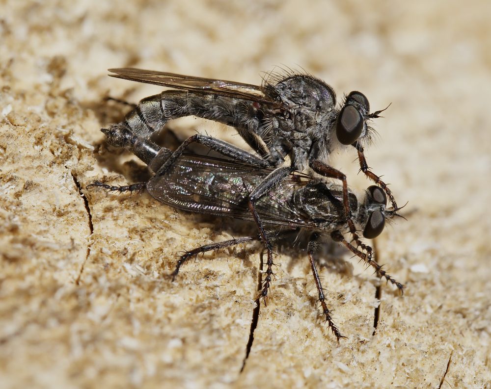 Photograph by Igor Ryzhov