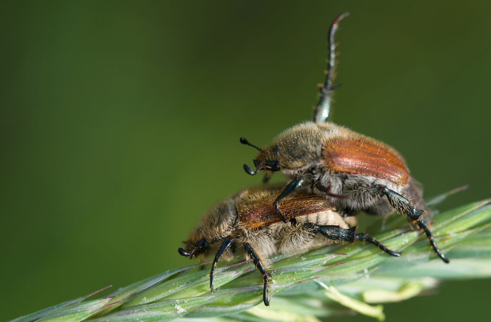 Photograph by Igor Ryzhov