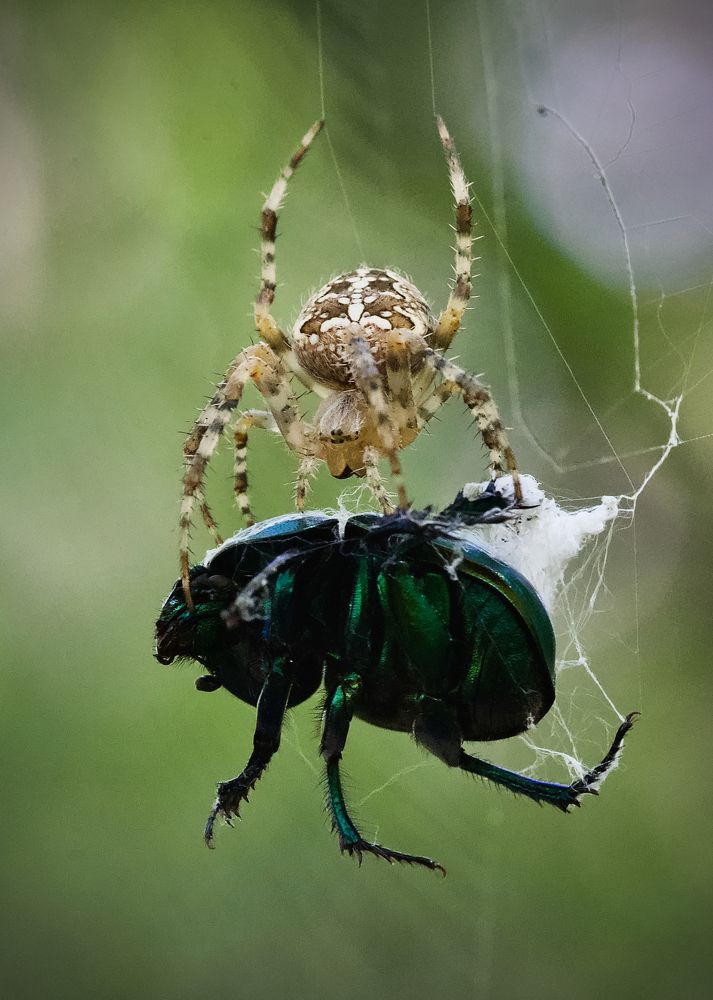 Photograph by Igor Ryzhov