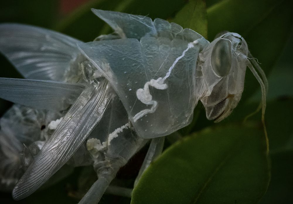 Photograph by Igor Ryzhov