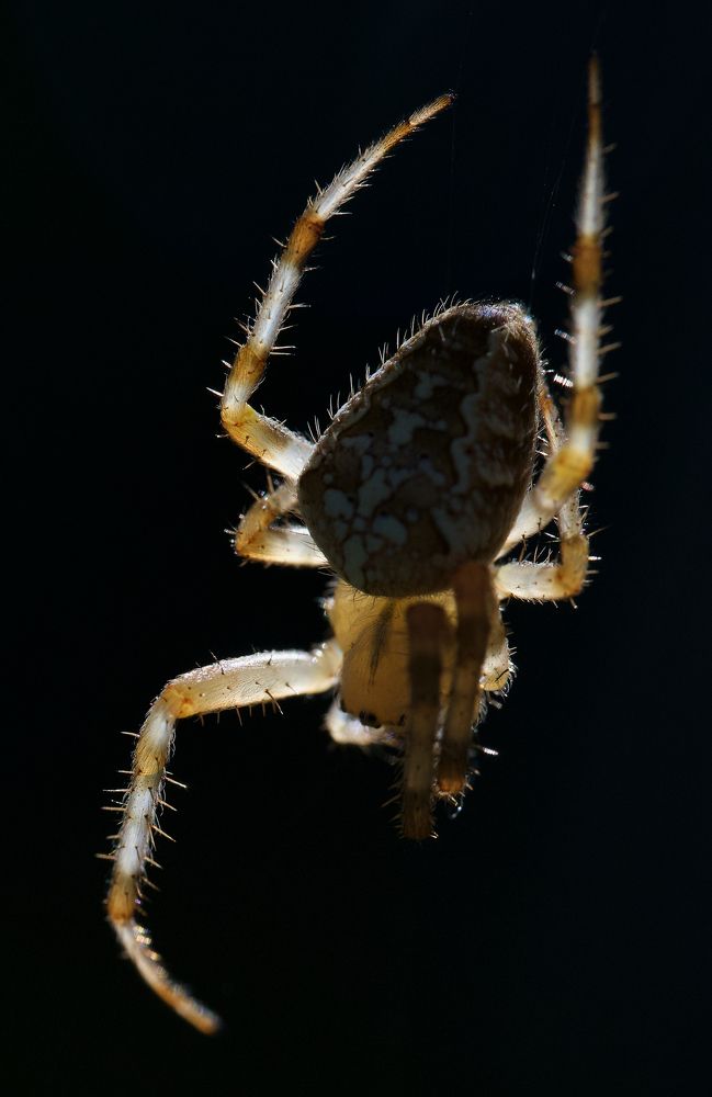 Photograph by Igor Ryzhov