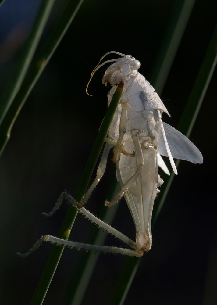 Photograph by Igor Ryzhov