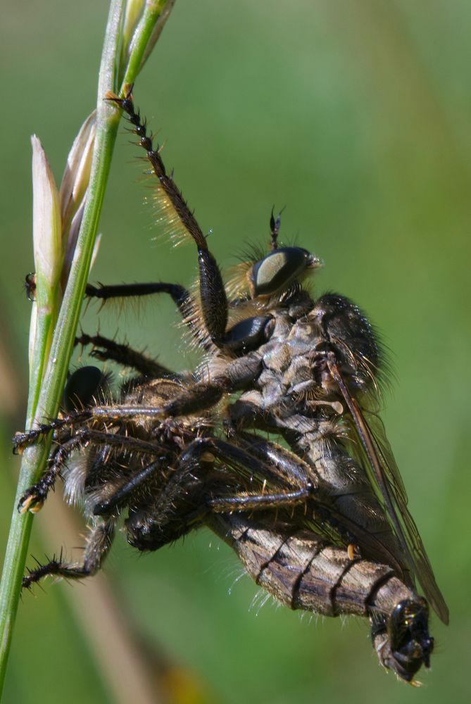 Photograph by Igor Ryzhov