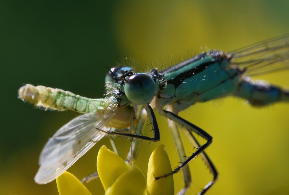 Photograph by Igor Ryzhov