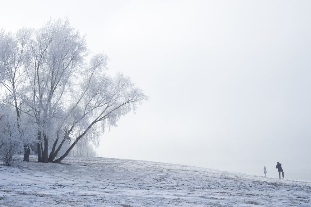 Photograph by Михаил Четвертков