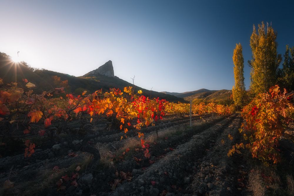 Коктебель. Сладкий ноябрь...