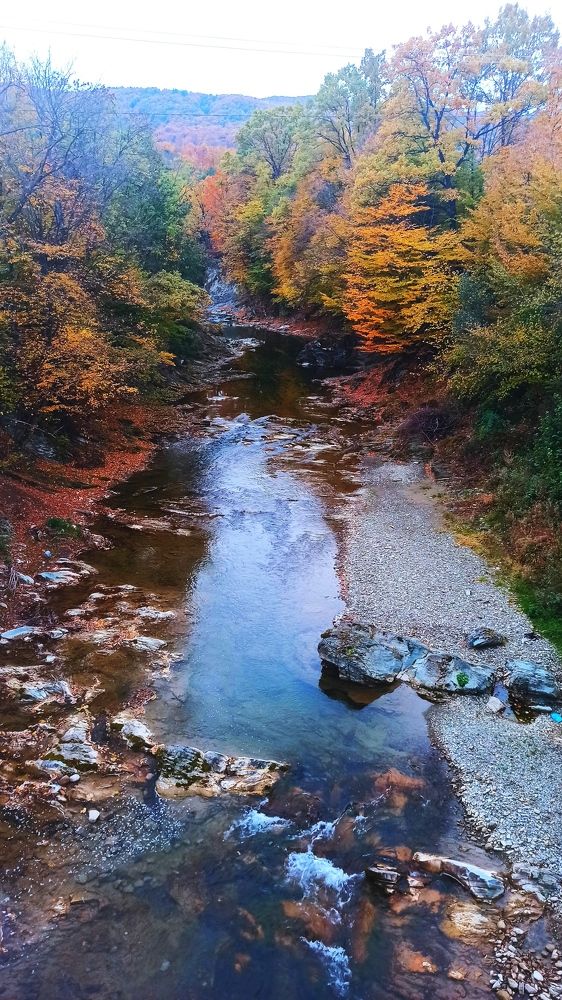 Photograph by Олександр Максимюк