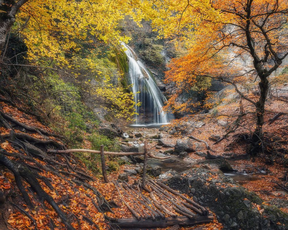 Джур-джур осенний...капал дождик...