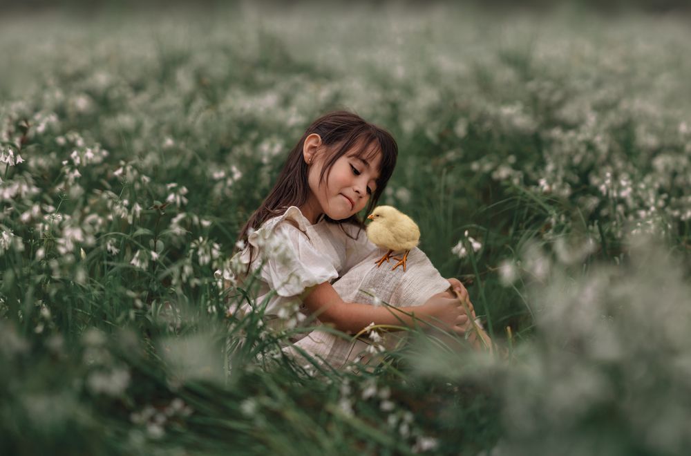 Photograph by Amalia Zilio