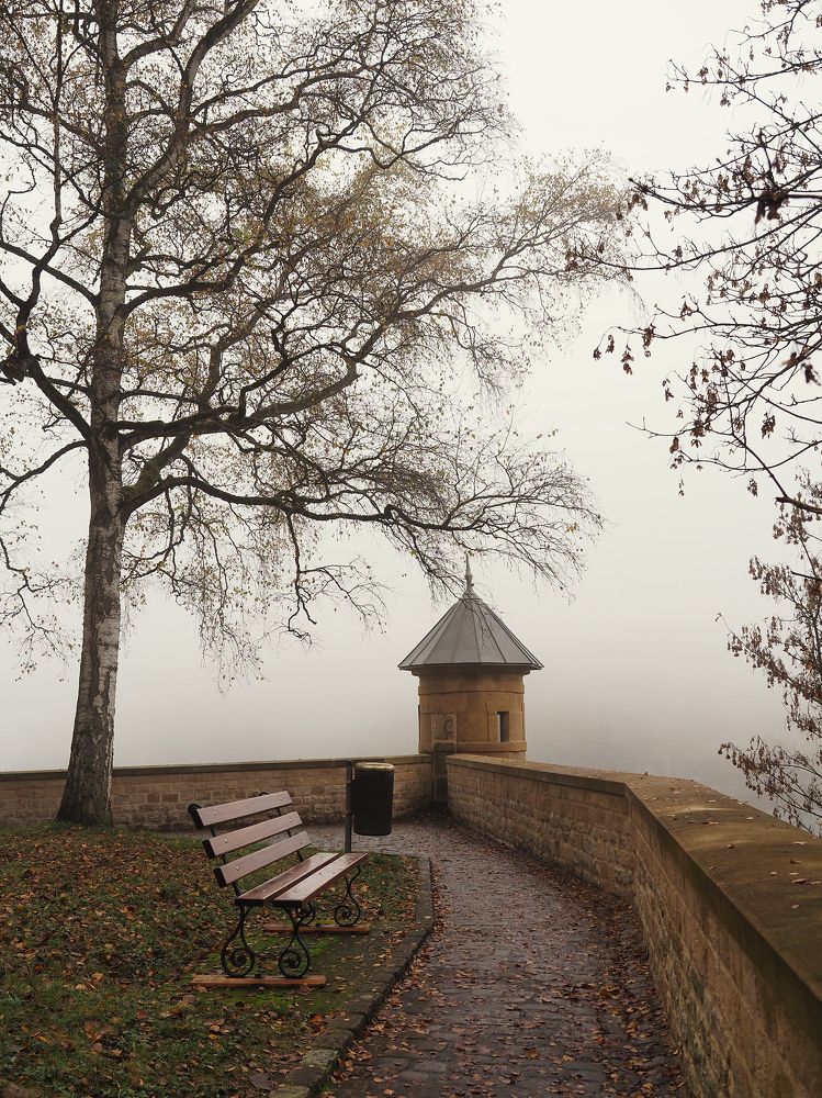 Photograph by Юлия Борт