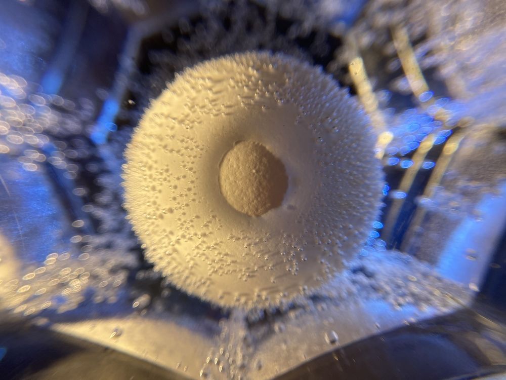 Photograph by Светлана Коваль