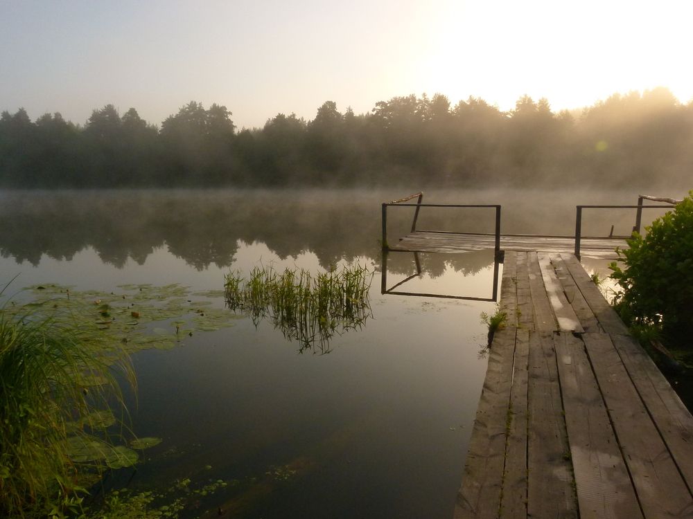 Photo #6728181