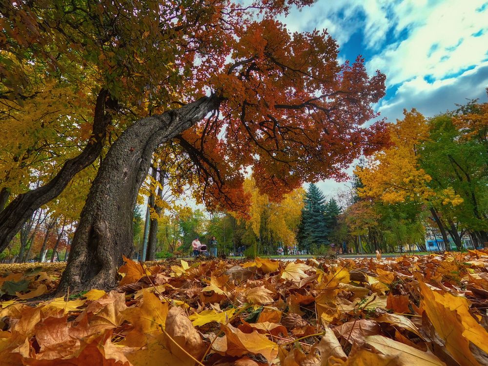 Photograph by Сергей Гринько