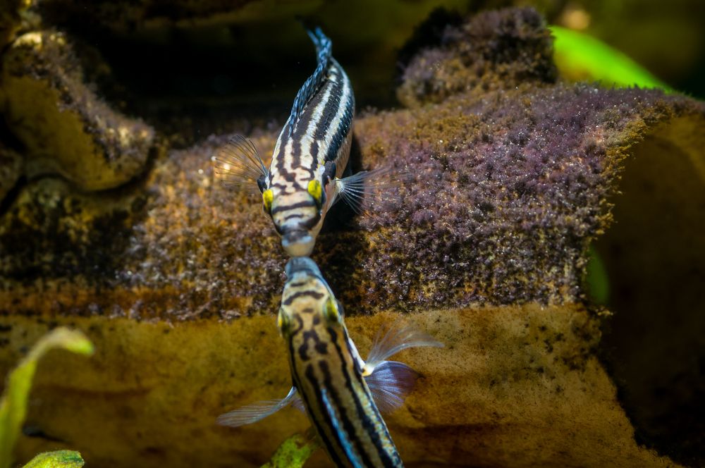 Photograph by Ясинский Юрий